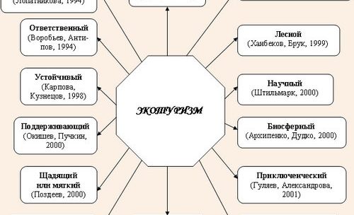 Что такое экологический туризм: определение, принципы, история и виды