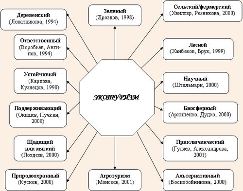 Что такое экологический туризм: определение, принципы, история и виды