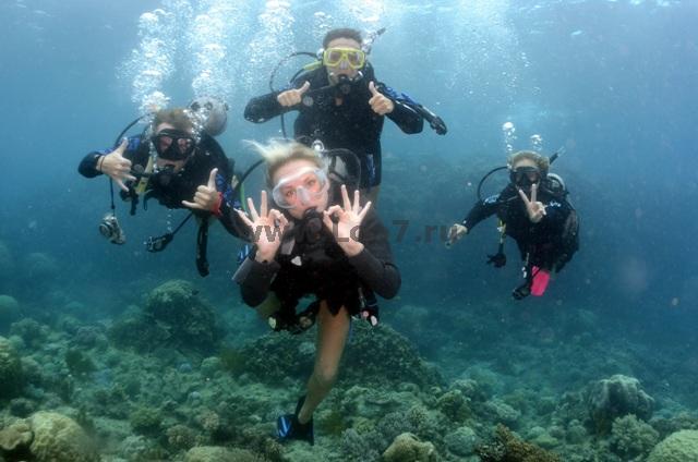 Дайвинг в Лоо: Откройте для себя подводный мир Черного моря