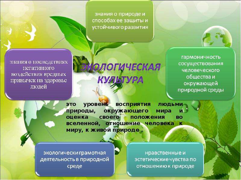 Экологическое образование и экологический туризм: Ключ к устойчивому будущему