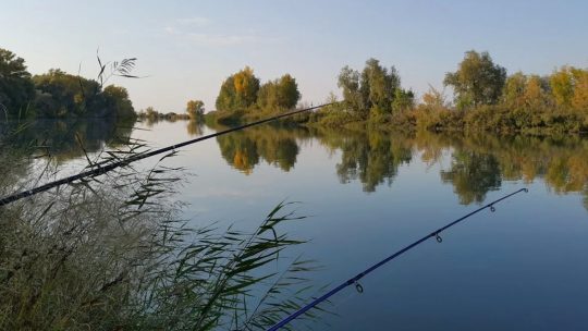 Рыбалка в Краснодарском крае и возможности отдыха на природе